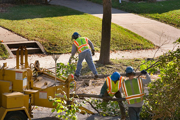 Best Firewood Processing and Delivery  in Columbia, TN